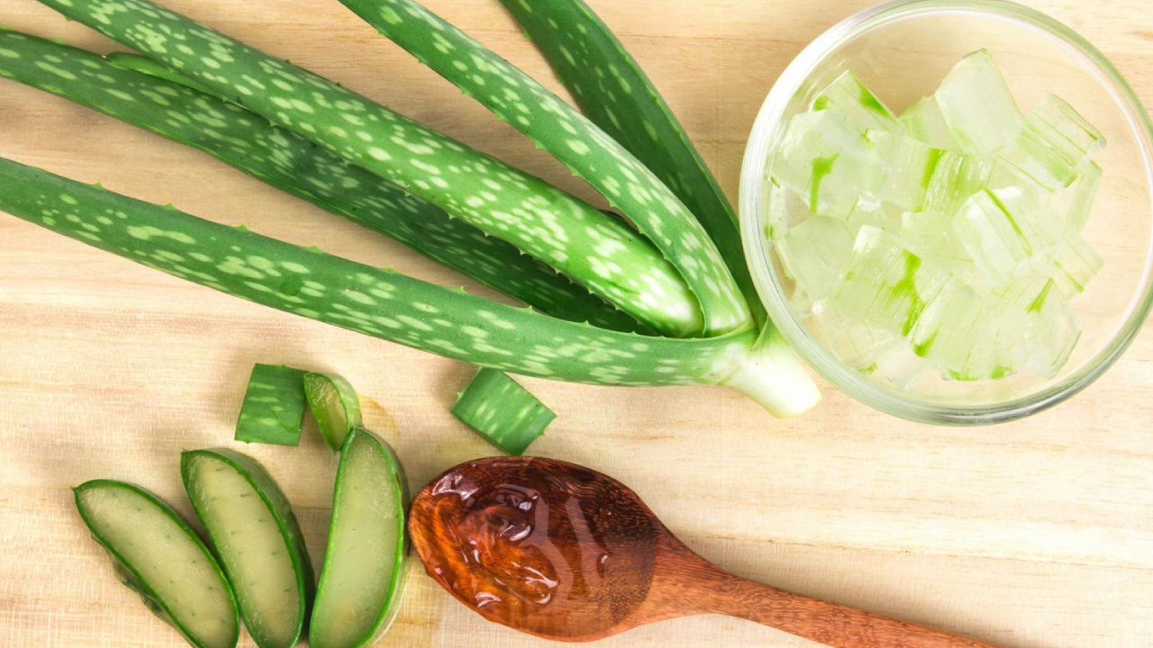 Aloe Vera: Her Yuvanın Vazgeçilmezi, Düzenli Tüketimle Sağlığınıza Sağlık Katıyor!