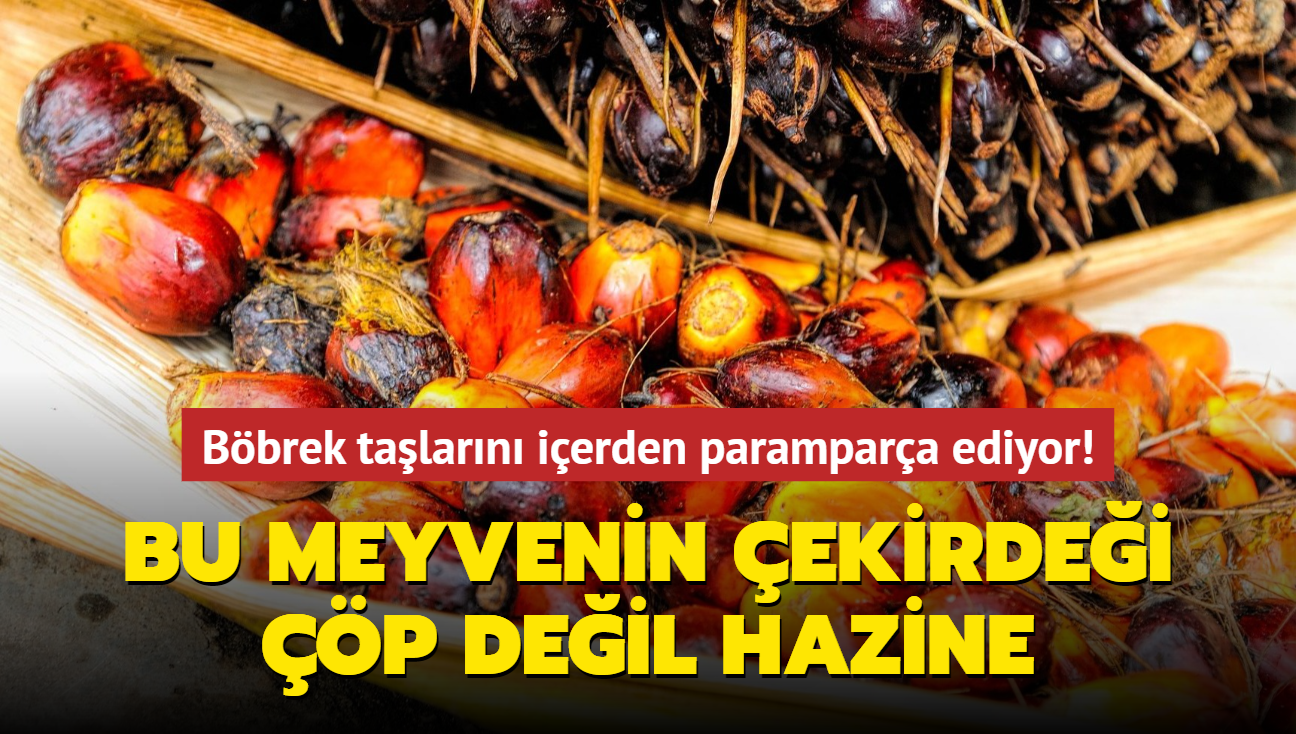 Böbrek taşlarını içten parçalar! Bu meyvenin çekirdeği, atık değil gerçek bir hazine.