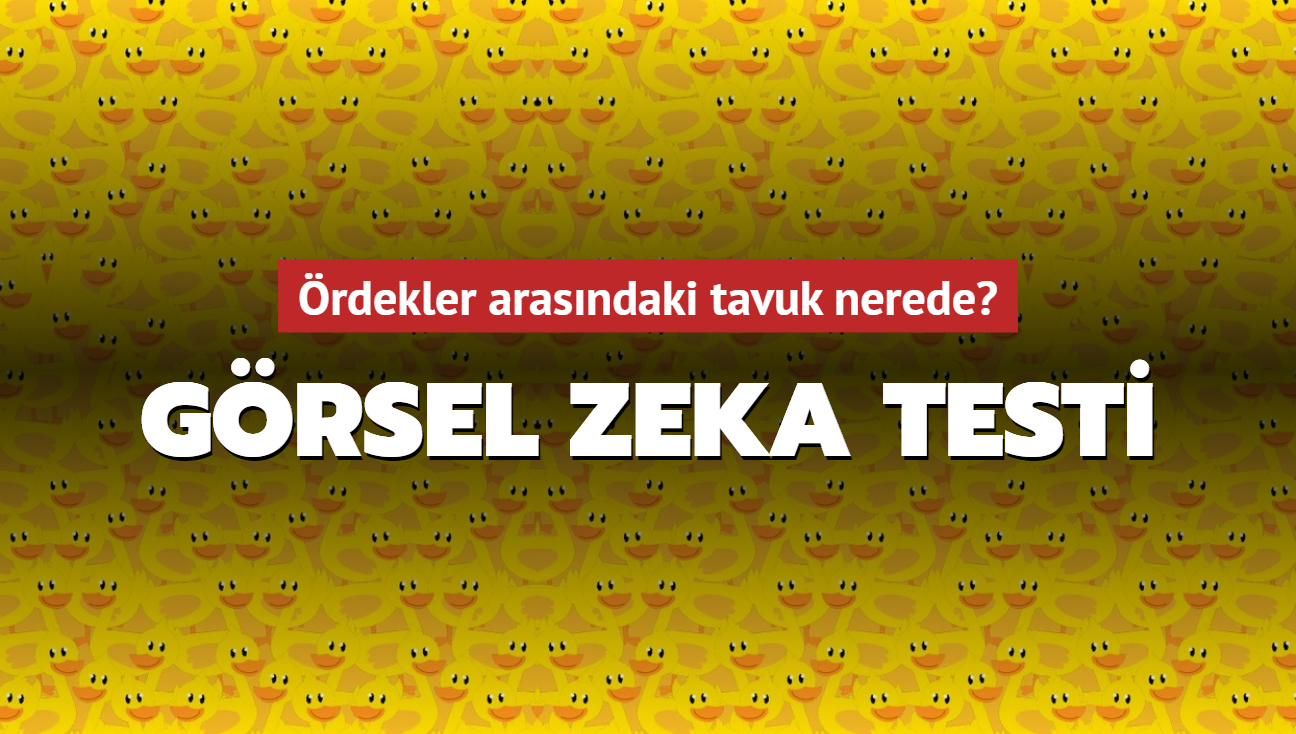 Görsel zeka sınavı: Tavuk hangi ördeğin arasında gizli? 785 katılımcıdan sadece 154'ü tespit edebildi.